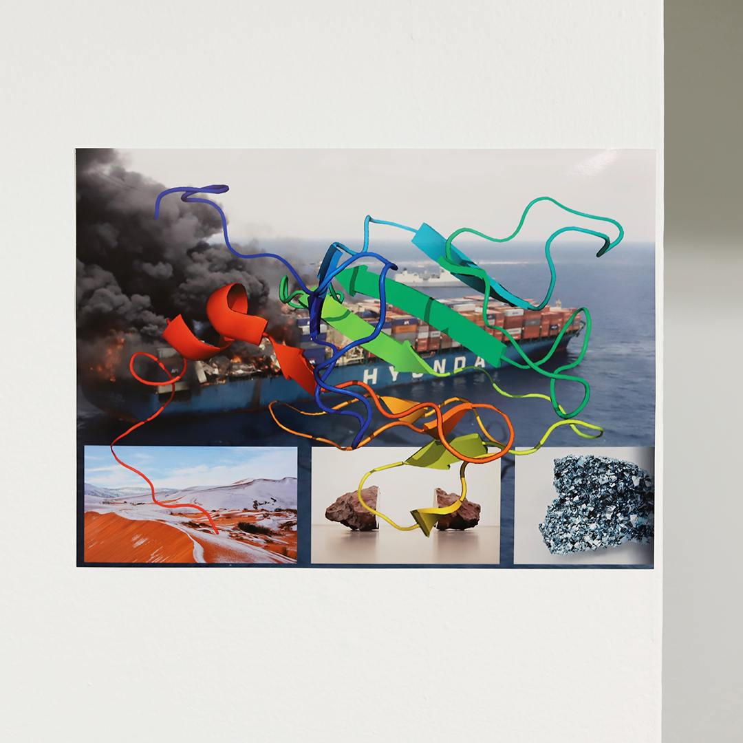 Photo by David Vojtuš