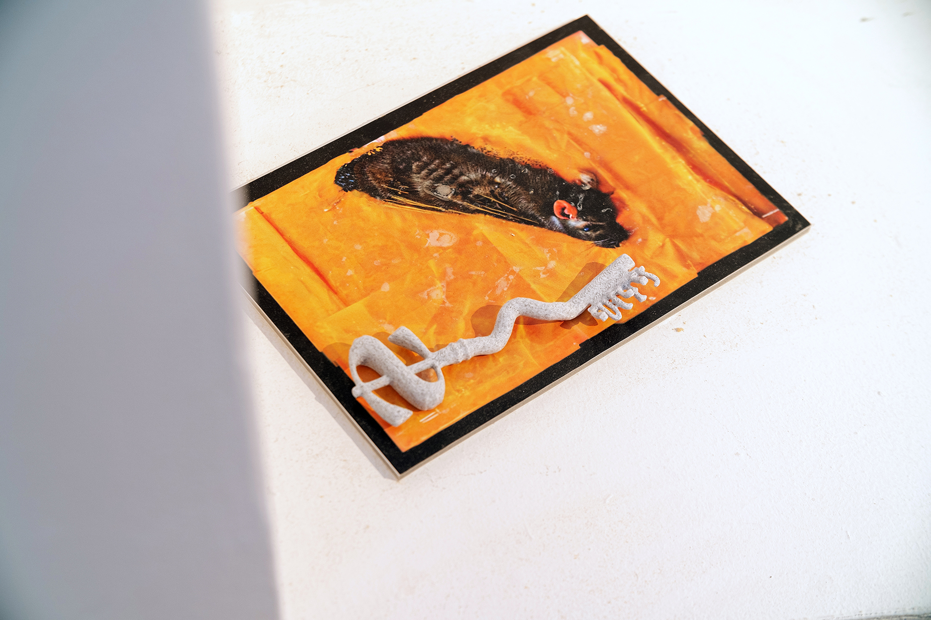 Photo by Ondřej Konrád